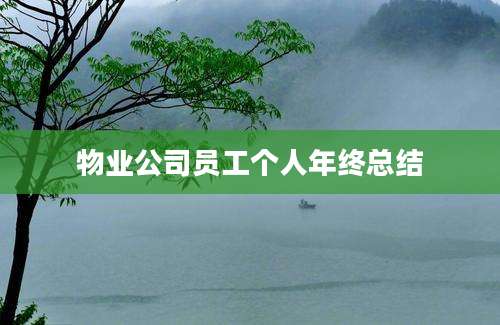 物业公司员工个人年终总结