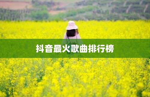 抖音最火歌曲排行榜