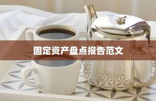 固定资产盘点报告范文