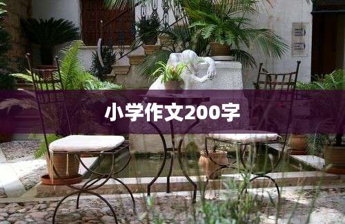 小学作文200字