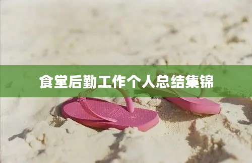 食堂后勤工作个人总结集锦