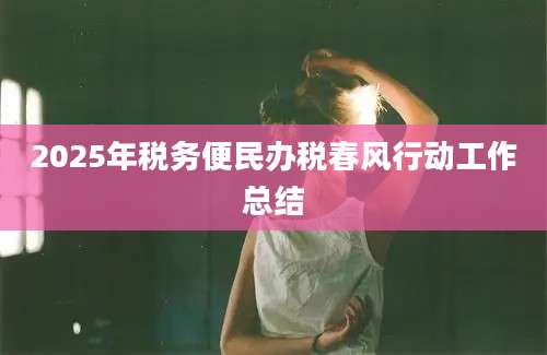 2025年税务便民办税春风行动工作总结