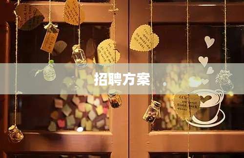 招聘方案