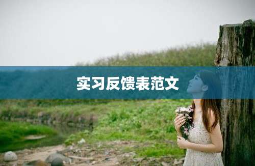实习反馈表范文