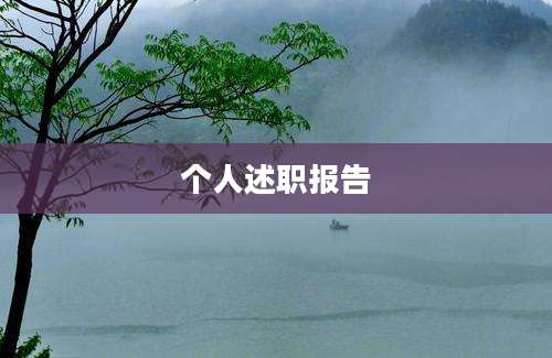 个人述职报告