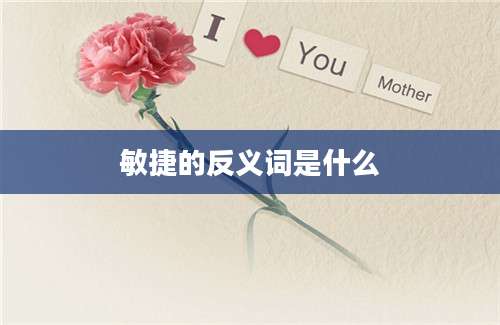 敏捷的反义词是什么
