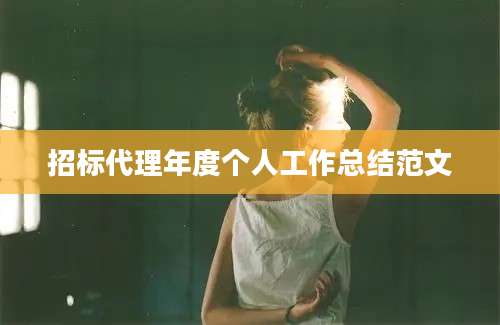 招标代理年度个人工作总结范文