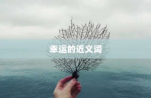 幸运的近义词