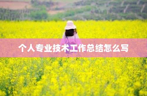 个人专业技术工作总结怎么写