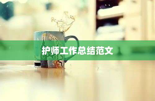 护师工作总结范文