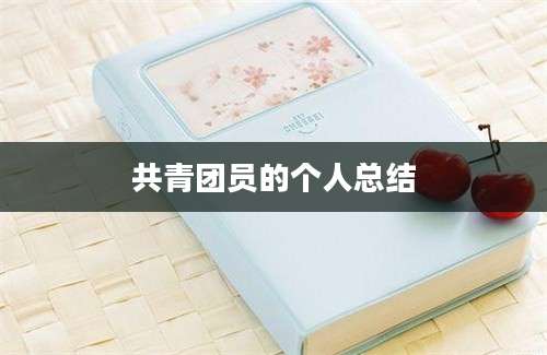 共青团员的个人总结