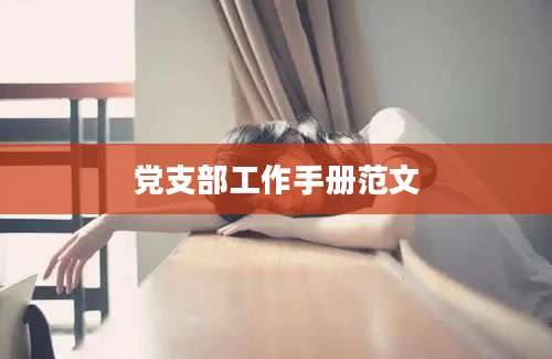 党支部工作手册范文