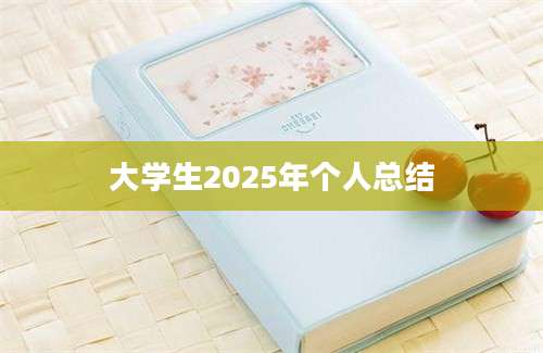 大学生2025年个人总结