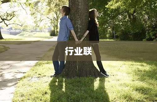 行业联