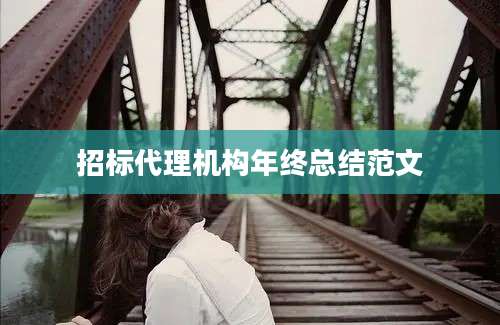 招标代理机构年终总结范文