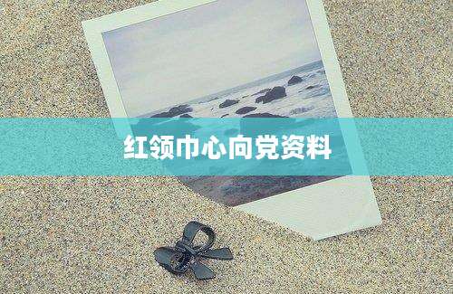 红领巾心向党资料