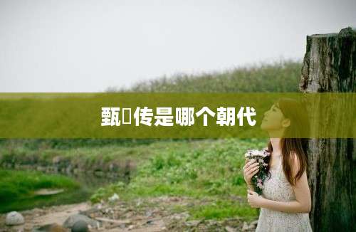 甄嬛传是哪个朝代