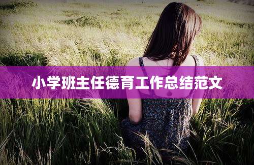 小学班主任德育工作总结范文