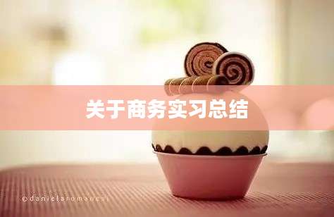 关于商务实习总结