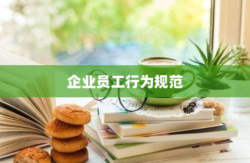 企业员工行为规范