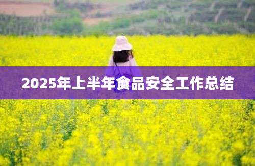 2025年上半年食品安全工作总结