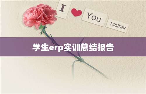 学生erp实训总结报告