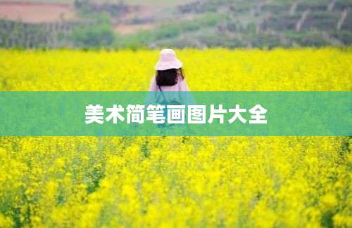 美术简笔画图片大全