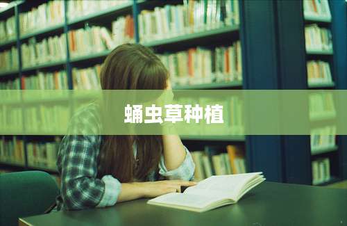蛹虫草种植