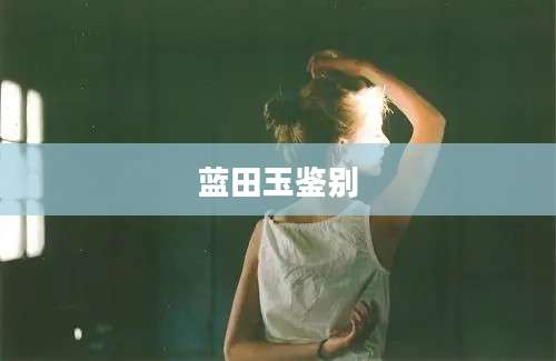 蓝田玉鉴别