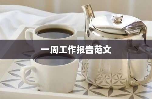 一周工作报告范文