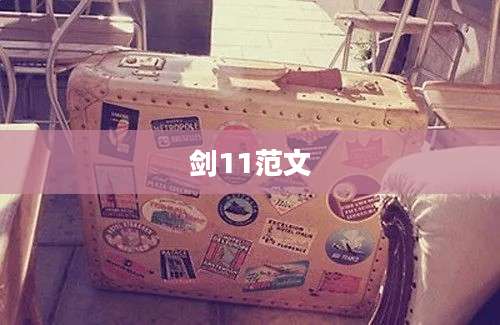 剑11范文