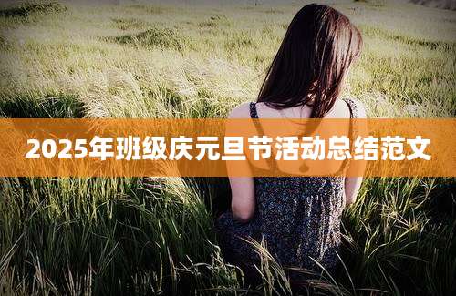 2025年班级庆元旦节活动总结范文