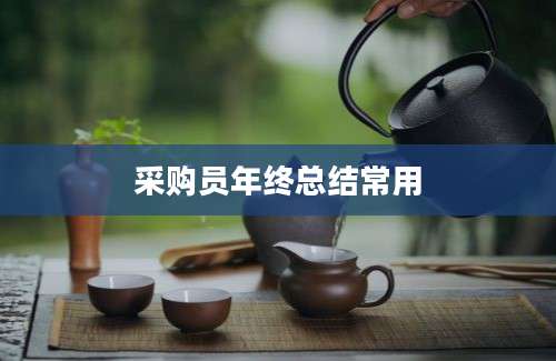 采购员年终总结常用