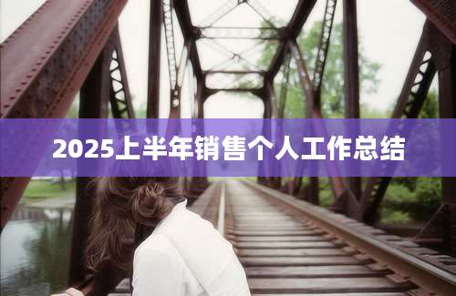 2025上半年销售个人工作总结