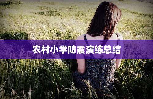 农村小学防震演练总结