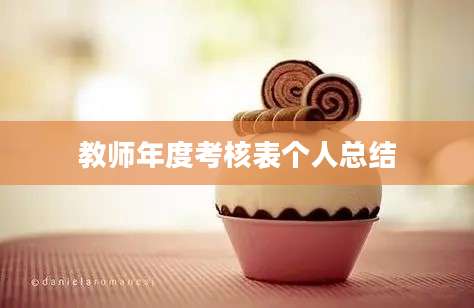 教师年度考核表个人总结