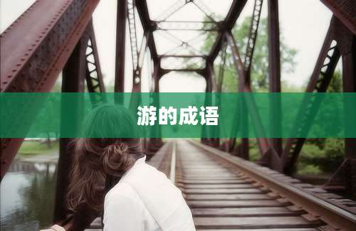 游的成语