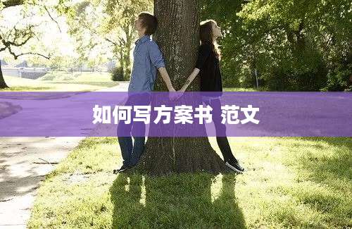 如何写方案书 范文