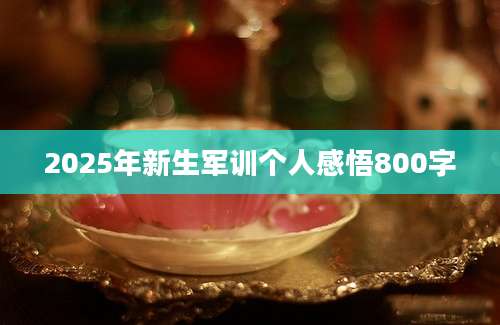 2025年新生军训个人感悟800字