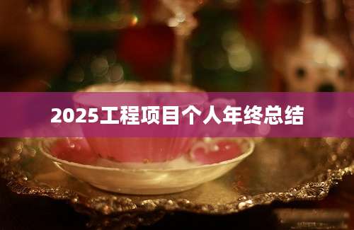 2025工程项目个人年终总结