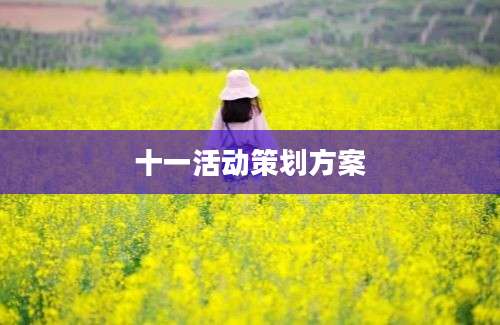 十一活动策划方案