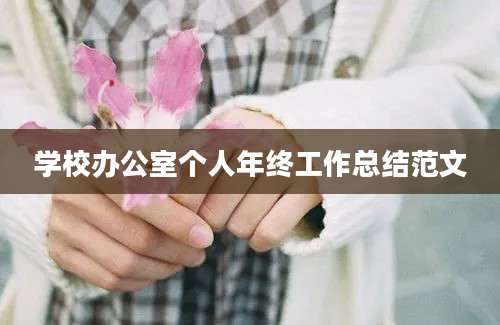 学校办公室个人年终工作总结范文