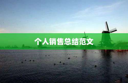 个人销售总结范文