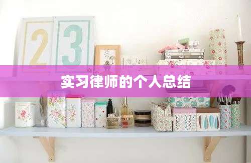 实习律师的个人总结