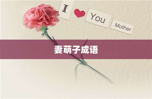 妻萌子成语