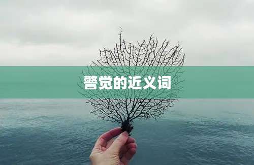 警觉的近义词