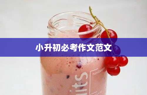 小升初必考作文范文