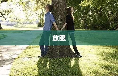 放眼
