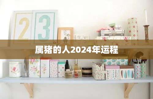 属猪的人2024年运程