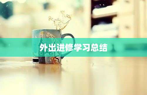 外出进修学习总结